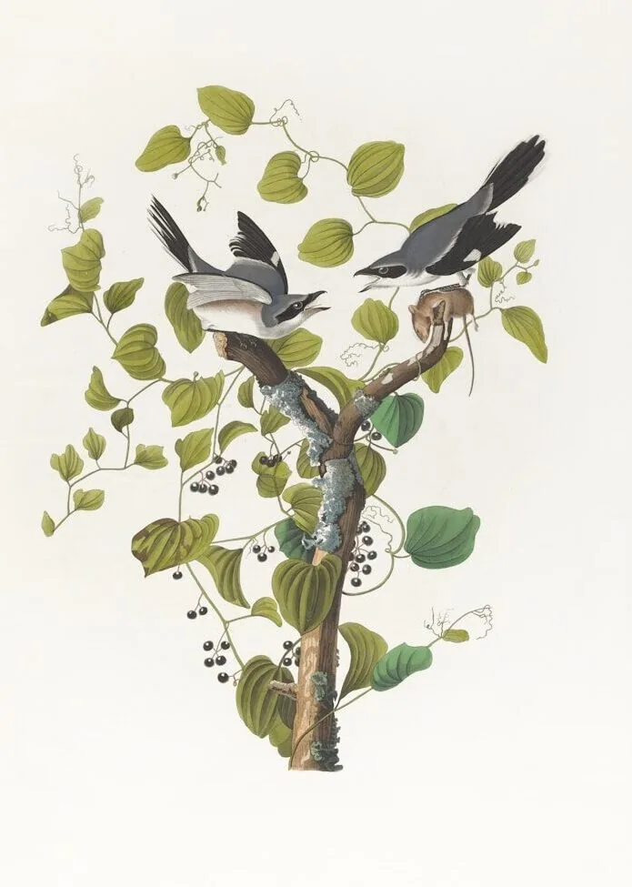 a painting of two birds perched on a tree branch