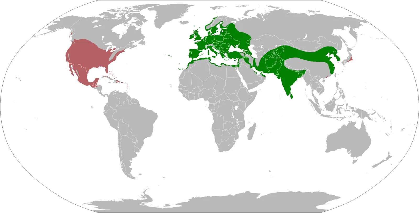 Range map of the Eurasian Collared-Dove showing native range in green across Asia and the Balkans, and introduced range in red across western Europe and North America.