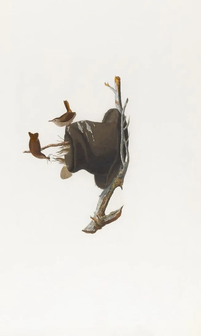 a painting of birds flying in the sky